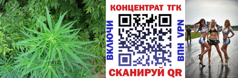 купить наркотики сайты  Чудово  Дистиллят ТГК Wax 